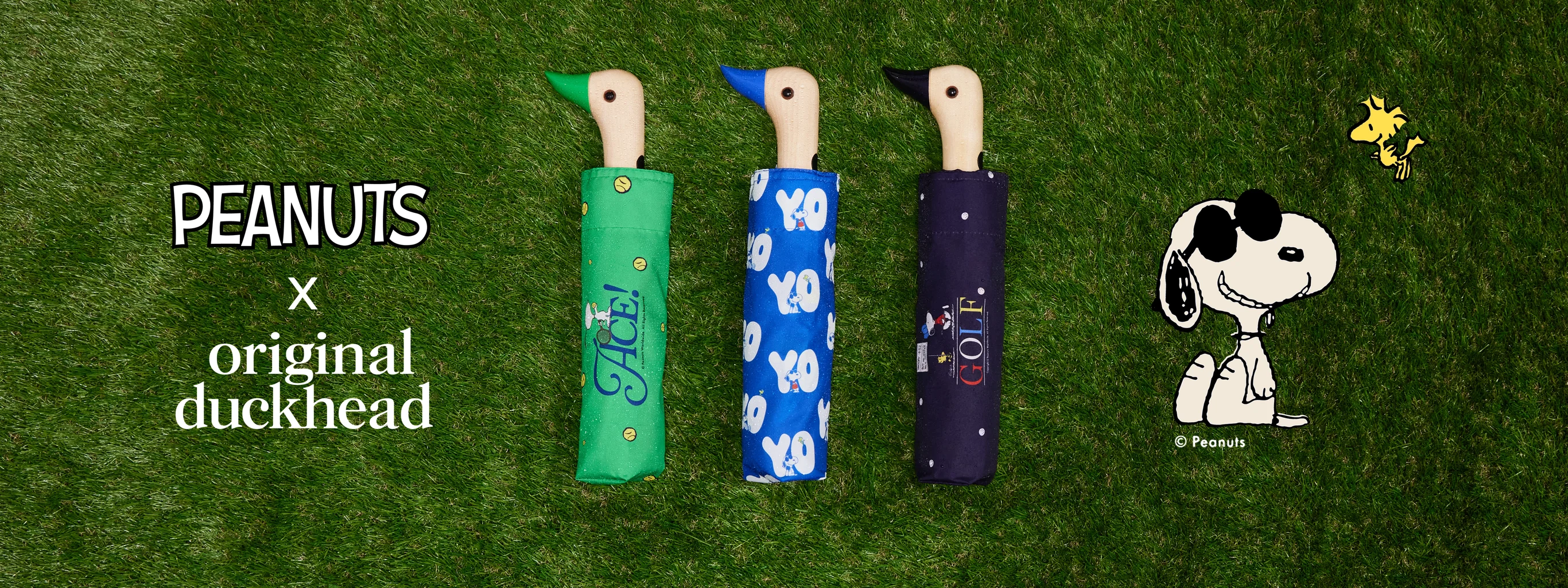 Iconic Design, Recycled for Life